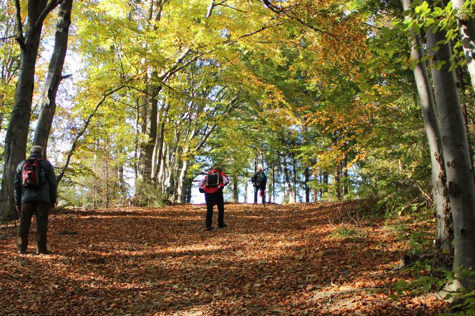 Ferie jesienne w Ochotnicy Dolnej 07-14.10.2012